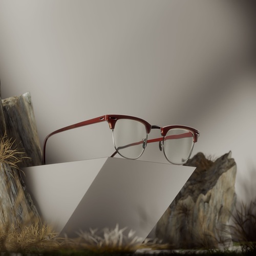 Glasses